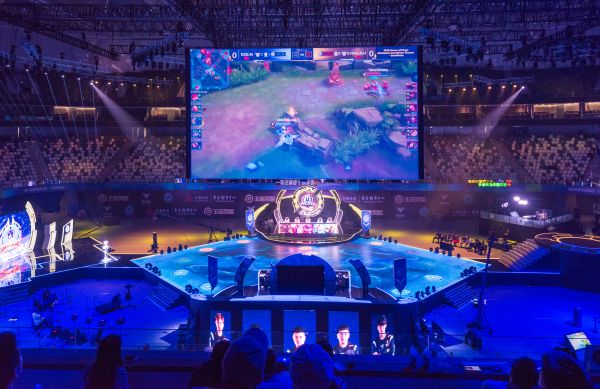 卫与门将的 卫与门将的