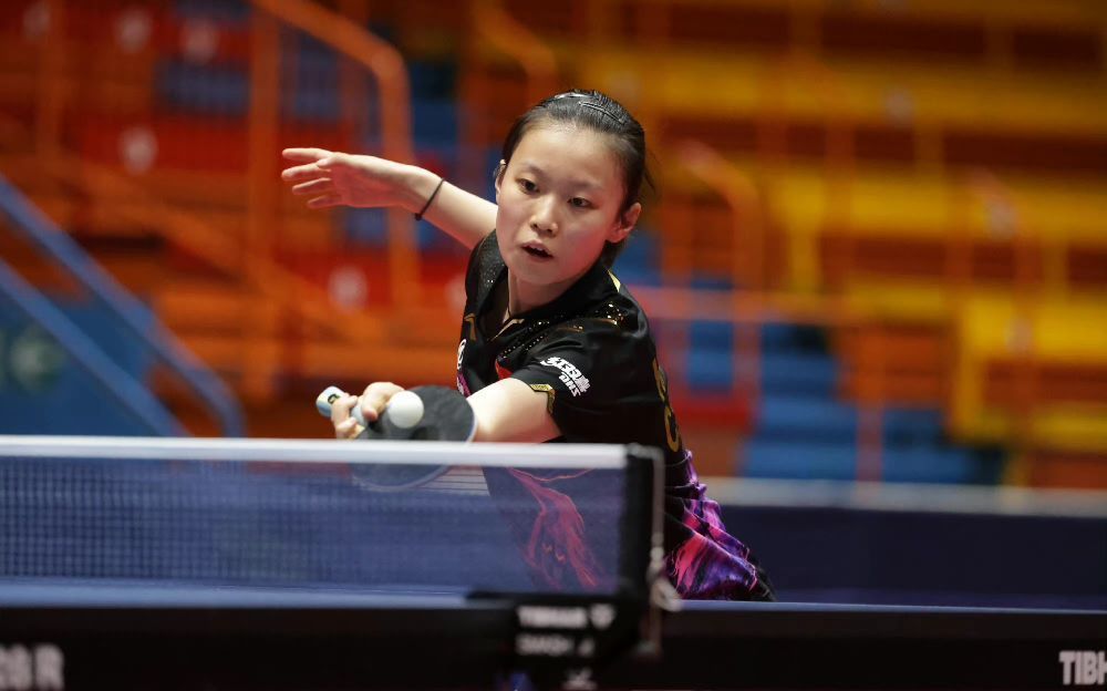 双核联动的 双核联动的